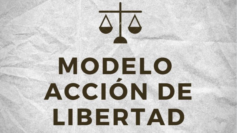modelo de accion de libertad bolivia