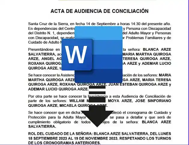 ACTA DE AUDIENCIA DE CONCILIACIÓN BOLIVIA
