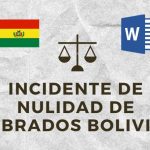 INCIDENTE DE NULIDAD DE OBRADOS BOLIVIA