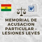 MEMORIAL DE ACUSACION PARTICULAR – LESIONES LEVES