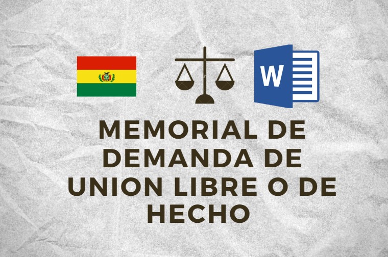 MEMORIAL DE DEMANDA DE UNION LIBRE O DE HECHO BOLIVIA