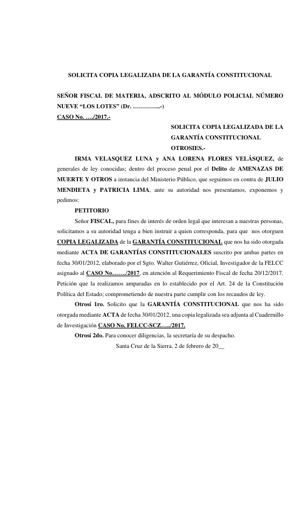 MEMORIAL SOLICITA COPIA LEGALIZADA DE LA GARANTÍA CONSTITUCIONAL