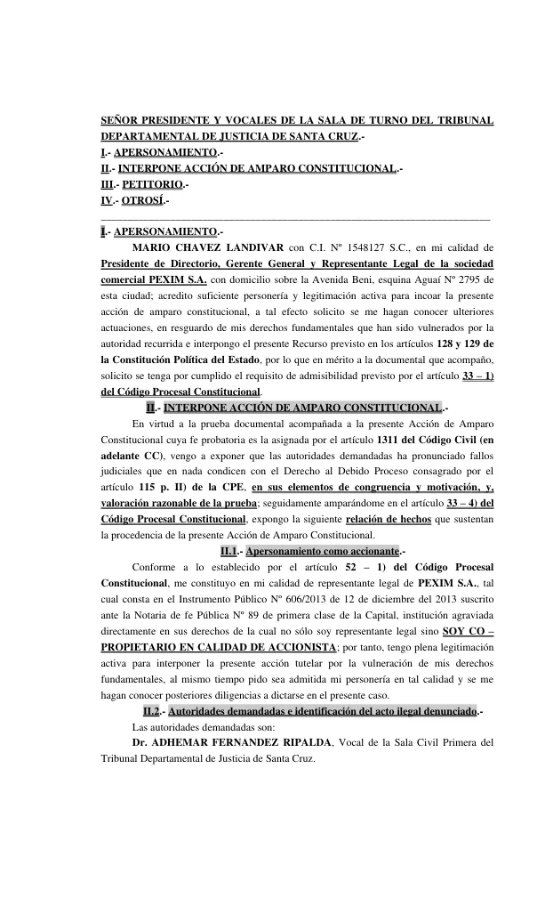 MODELO DE ACCION DE AMPARO CONSTITUCIONAL - NULIDAD