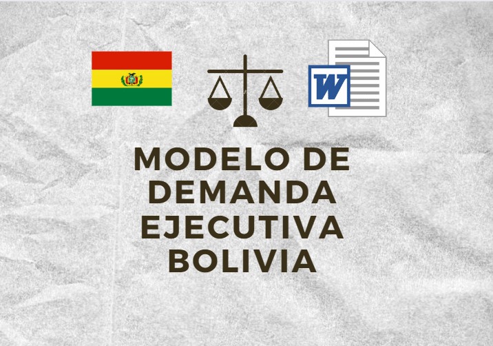 MODELO DE DEMANDA EJECUTIVA BOLIVIA