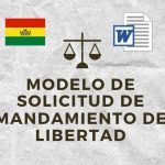 MODELO DE SOLICITUD DE MANDAMIENTO DE LIBERTAD