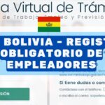 ROE MINISTERIO DE TRABAJO BOLIVIA