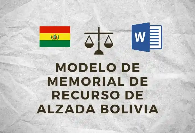 Recurso de Alzada en Bolivia