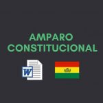 acción de amparo constitucional bolivia