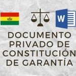 modelo de documento privado de constitucion de garantia